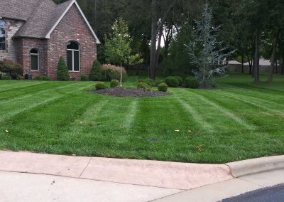 Cardinal Clippers Lawn Service 1